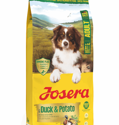 hundebett doctor bark Doctor Bark - orthopdisches Hundebett
